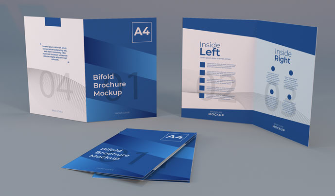 Bi-Fold Brochures