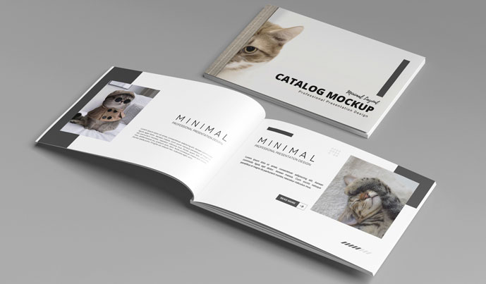 Catalogues